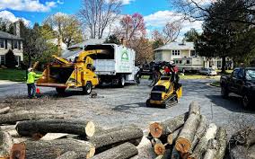 Pest Control for Lawns in Birchwood Lakes, PA